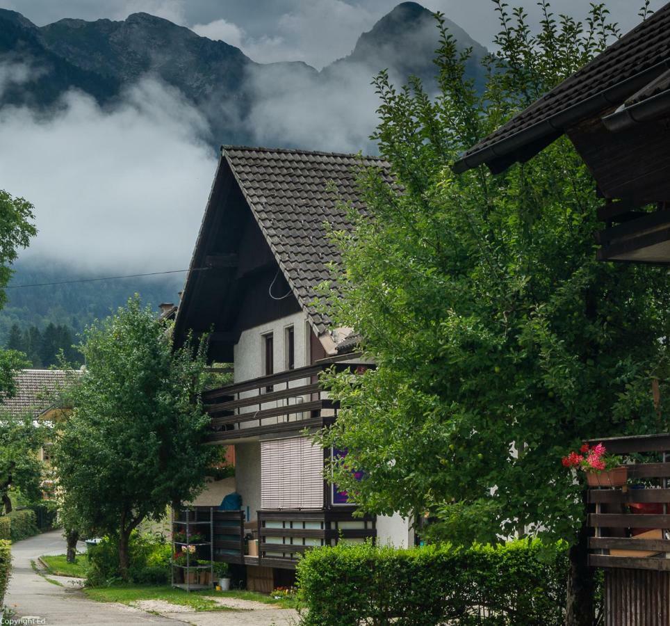 Kolman Bohinj